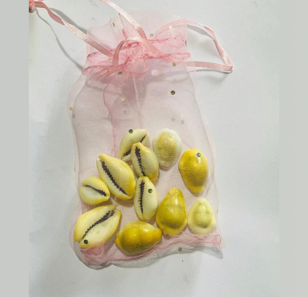 Energized Lakshmi kodi