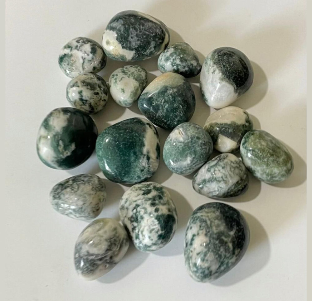 Tree agate Crystal Pebbles