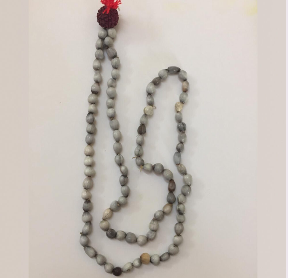 Vaijanti Mala